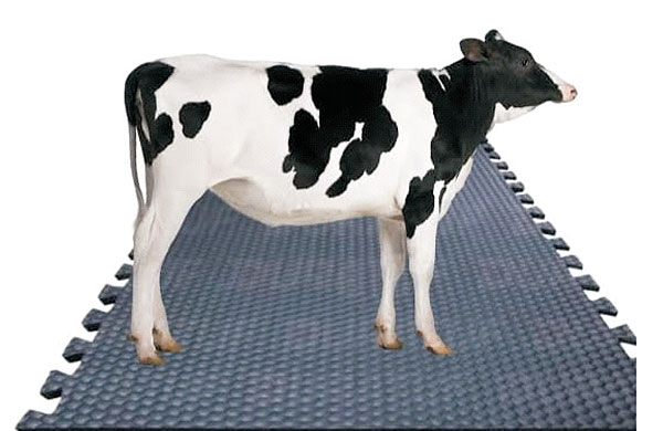 Rubber Cow Mats